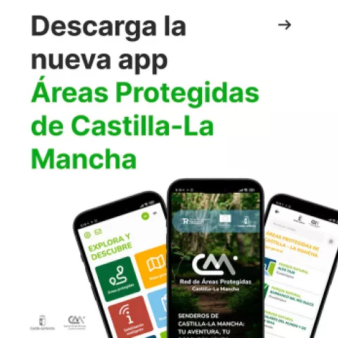 Trabajos Proarte